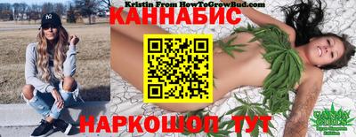 молекула духа Нальчик