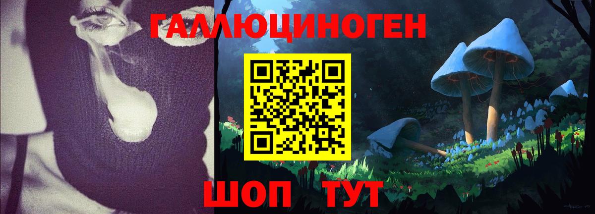Туймазы  Псилоцибиновые грибы мухоморы  Псилоцибиновые грибы мицелий  Вход с VPN 