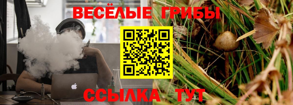 Галлюциногенные грибы ЛСД Туймазы